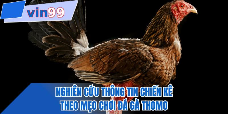 Nghiên cứu thông tin chiến kê theo mẹo chơi đá gà thomo