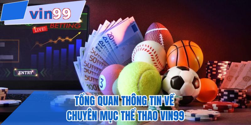 Tổng quan thông tin về chuyên mục thể thao VIN99